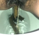 From under the toilet, a very cute girl pushes out a long hanging log that drops, then pisses over the product. Filmed from a between the legs perspective. Vertical format video. Under a minute.